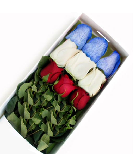 Caja de 12 Rosas Colores de la Bandera